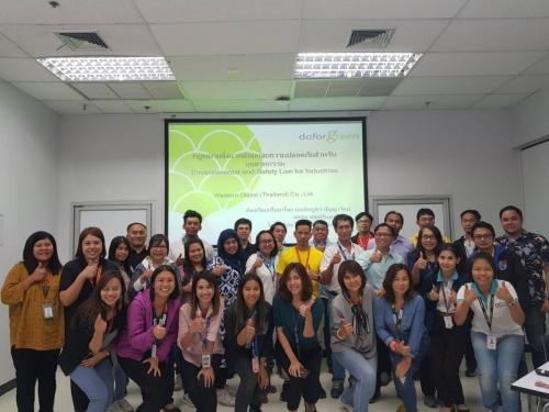 311 dorforgreen gallery pic