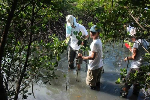 785 dorforgreen gallery pic